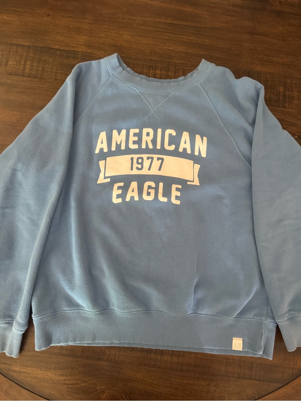 American Eagle Outfitters Light Blue Logo Crewneck Sweatshirt